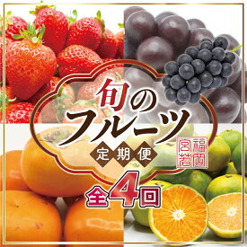 【ふるさと納税】【定期便】宮若市旬のフルーツ定期便【全4回】 ブランド いちご ぶどう みかん 柿 大人気 NO1 限定品 高級 フルーツ 果物 くだもの 特別 冷蔵 プレゼント 九州 福岡 宮若市 ふるさと納税 おすすめ 送料無料 M763
