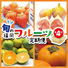 【ふるさと納税】【定期便】福岡県ブランドフルーツ定期便（年4回） ブランド いちご ぶどう みかん 柿 大人気 NO1 限定品 高級 フルーツ 果物 くだもの 特別 冷蔵 プレゼント 九州 福岡 宮若市 ふるさと納税 おすすめ 送料無料 M771