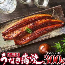 【ふるさと納税】＜いろは＞うなぎ蒲焼 国産 150g × 2尾 (有頭) 　[M685-2] ウナギ 鰻 炭火焼き ふっくら 肉厚 うな重 ランキング 土用の丑の日 鹿児島県 人気 オススメ 宮若市
