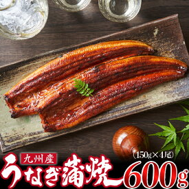 【ふるさと納税】＜いろは＞うなぎ蒲焼 国産 150g × 4尾 (有頭)　[M778-2] ウナギ 鰻 炭火焼き ふっくら 肉厚 うな重 ランキング 土用の丑の日 鹿児島県 人気 オススメ 宮若市