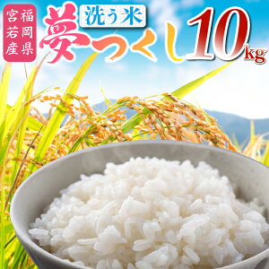 yӂ邳Ɣ[Łzߘa7NY   10kg [M895-1] ͂ R    uh