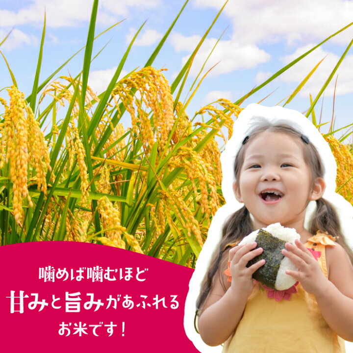 楽天市場】【ふるさと納税】数量限定 令和7年産 夢つくし 精米 20kg 