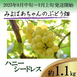 yӂ邳Ɣ[Łz݂΂̂ԂǂI s\ 8{`9{yIn͔|̃nj[V[hX1.1kgz[M28-2]  uhE Ԃǂ  ʕ  }XJbg 