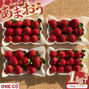yӂ邳Ɣ[Łzys\z_ƒI ܂@280g×4pbN@v1120g@2026N1菇@[M566-3] ONE GO@ t[c C`S ʕ  XC[c fU[g LO 