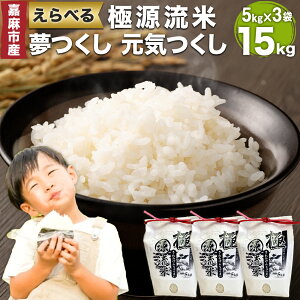 【ふるさと納税】極源流米 5kg×3袋 合計15kg お米 白米 ブランド米 令和7年産 精米 単一原料米 上流栽培米 源流米 選べる 夢つくし 元気つくし 常温 少量生産 福岡県産 嘉麻市 九州産 国産 送料