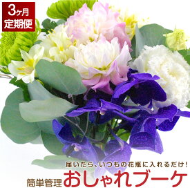 楽天市場 ふるさと納税 花 定期便の通販