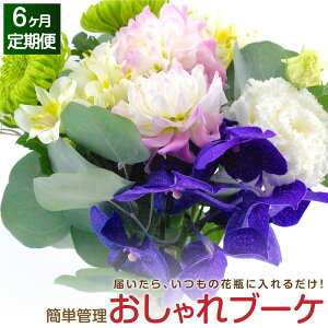 ピンク 花束 おしゃれの人気商品 通販 価格比較 価格 Com