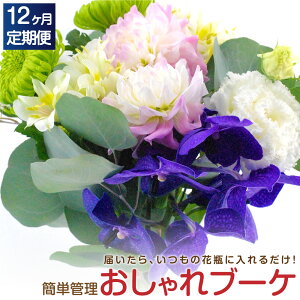 ピンク 花束 おしゃれの人気商品 通販 価格比較 価格 Com ピンク 花束 おしゃれの人気商品 通販 価格比較 価格 Com