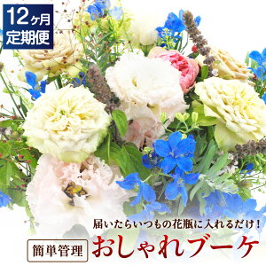 yӂ邳Ɣ[ŁzyIׂցz|~̒|Zbg 3/6/12  ͂炢̉ԕrɓ邾! ȒPǗ̂u[P ԕrt ܕt  t[ u[P