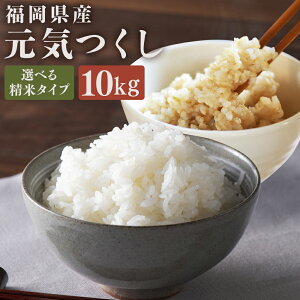 �y�ӂ邳�Ɣ[�Łz���I�ׂ��ށ��������Y �y��A�z�]���̂��āu���C�����v �v10kg�i5kg×2�܁j [���� / ����] �ߘa7�N�Y ���� ���� �R�� ���� �P�ꌴ���� ���� ���͂� ���ٓ� ���Y ��B ������ 