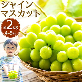 【ふるさと納税】福岡県産 シャインマスカット 4~5房 約2kg フルーツ 果物 マスカット ぶどう ブドウ 葡萄 福岡県 嘉麻市 送料無料【2024年8月下旬～9月下旬に順次発送予定】