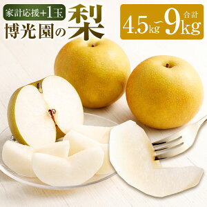 yӂ邳Ɣ[Łzyƌvzyʌz{1 4.5kg/7kg/9kg Iׂe L 20I V V Ȃ iV ʕ  t[c ʎ BY Y Y y2025N9