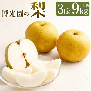 yӂ邳Ɣ[Łz 3kg/4.5kg/7kg/9kg Iׂe L 20I V V Ȃ iV ʕ  t[c ʎ BY Y Y ʌ Ԍ y2025N9{`12