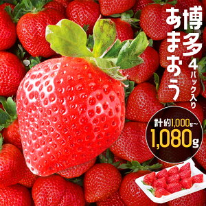 yӂ邳Ɣ[Łz܂ v1000g~1080g 2(250g`270g×4pbN) y2026N2{-3{\z  C`S ܂ t[c ʕ Mtg 蕨 JAӂÕ B Y 