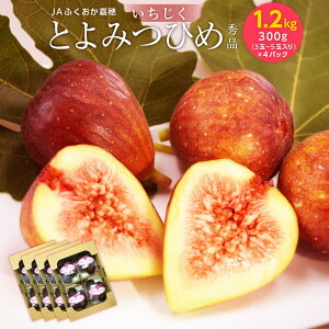 yӂ邳Ɣ[ŁzJAӂÕ  Ƃ݂Ђ Gi v1.2kg 300g(3~5ʓ)×4pbN C`WN ԉ t[c ʕ  Y BY Y  y2025N8{`10