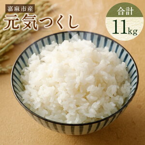 yӂ邳Ɣ[Łzyߘa7NYzÖsY C v11kg   Pꌴ Y BY  y2025N11{珇\z