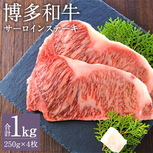 yӂ邳Ɣ[Łza T[CXe[LZbg 250g×4 v1kg a  T[C Xe[L Ⓚ Y BY Y 