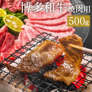 【ふるさと納税】博多和牛 焼肉用 約500g 和牛 牛肉 焼き肉 牛肩ロース又は肩バラ又はモモ 冷凍 福岡県産 九州産 国産 送料無料