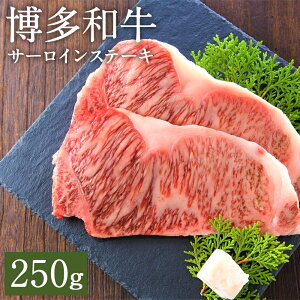 yӂ邳Ɣ[Łza T[CXe[LZbg 250g 1 a  T[C Xe[L Ⓚ Y BY Y  yVX[p[SALE 9J