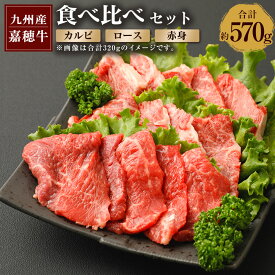 【ふるさと納税】嘉穂牛 食べ比べセット 3種 合計約570g カルビ ロース 赤身 国産 九州産 牛肉 冷蔵 送料無料