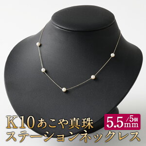 yӂ邳Ɣ[ŁzK10 ^ Xe[VlbNX 40cm ^TCY5.5mm AWX^[t Y {Y p[lbNX p[ tH[} w Ǝ l ̓ Mtg WG