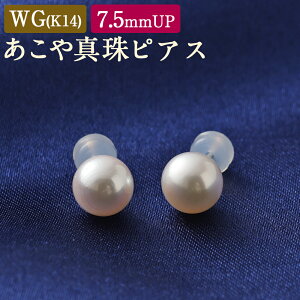 yӂ邳Ɣ[ŁzWG(K14)^sAX 7.5mm sAX p[ tH[} w Ǝ l ̓ Mtg WG[ ANZT[ fB[X Y {Y  yVX[p[SALE 9