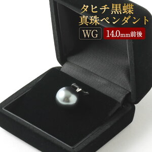 yӂ邳Ɣ[ŁzK14 ^q`  ^ y_g 14.0mmO 100000~ 10~ WG Y {Y p[  tH[} w Ǝ l ̓ Mtg WG[ ANZT[ fB[
