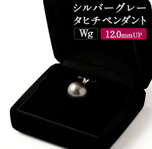 【ふるさと納税】Wg K14 シルバーグレー タヒチ ペンダント 12.0mmUP 国内加工 真珠 シルバーグレータヒチ真珠 シルバーグレー真珠 パール フォーマル 入学式 卒業式 成人式 母の日 ギフト ジュ