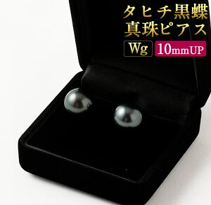 yӂ邳Ɣ[ŁzWg K14 ^q` ^ sAX 10mmUP H ^ ^q`Y^ ^q`^ p[ tH[} w Ǝ l ̓ Mtg WG[ ANZT[ fB[