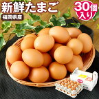 新鮮 たまご 30個 福岡県産 鶏卵 卵 玉子 赤卵 赤玉子 生卵 九州産 送料無料