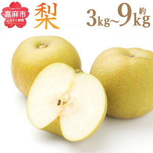 yӂ邳Ɣ[Łz 3kg/4.5kg/7kg/9kg Iׂe K L \I Â V V 쐅 H Ȃ iV ʕ  t[c ʎ BY Y Y ʌ Ԍ 