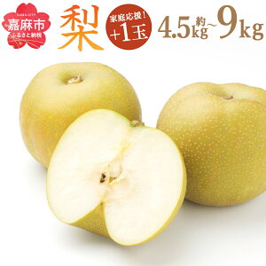 yӂ邳Ɣ[Łzyƒ뉞z 4.5kg+1/9kg+1 Iׂe K L \I Â V V 쐅 H Ȃ iV ʕ  t[c ʎ BY Y Y ʌ 