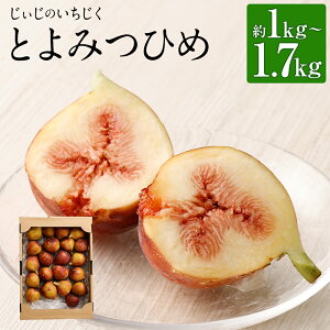 yӂ邳Ɣ[Łẑ Ƃ݂Ђ 1kg/1.5kg/1.7kg Iׂe x17x  C`WN ԉ t[c ʕ ͔|Ԓ_sgp Y BY Y ① 