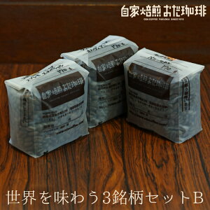 【ふるさと納税】自家焙煎おだ珈琲 世界を味わう3銘柄セットB コーヒー豆 各170g×3種類 合計510g 珈琲 豆 3種類 飲み比べ 送料無料