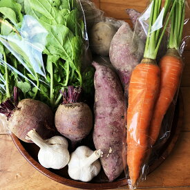 【ふるさと納税】「元気になりたい人に届けたい」秋冬の野菜セット 7種類前後 おまかせ ランダム 野菜 詰め合わせ 福岡県産 九州産 送料無料 【2025年11月上旬～2026年2月上旬に順次発送予定】