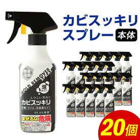 【ふるさと納税】カビスッキリスプレー 本体 400ml×20個 カビ取り お掃除 掃除 カビ 泡 スプレー 付け替えタイプ クリーナー 送料無料