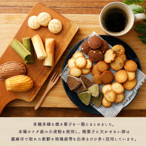 【ふるさと納税】焼菓子菓子折りセット(14〜16種入り)洋菓子クッキーフィナンシェフィナンセラングドシャサブレマドレーヌチョコ抹茶ココナッツ送料無料