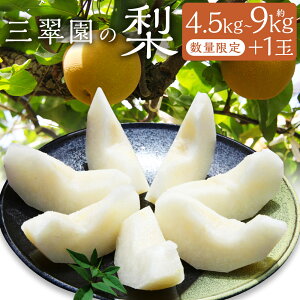 yӂ邳Ɣ[ŁzIׂeʁyʌzO̗ 4.5kg+1ʁE9.0kg+1  Ȃ iV  ʕ ʎ t[c K L \I Â V V ① Y Y  