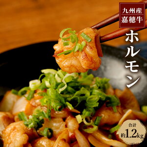 yӂ邳Ɣ[ŁzÕ䋍 z v1.2kg 400g×3  Ⓚ Y BY Y  yVX[p[SALE 9J