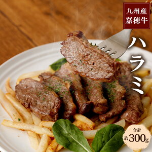 yӂ邳Ɣ[Łz10i Õ䋍 n~ v300g  Ԑg Y BY Y ①  yVX[p[SALE 9J