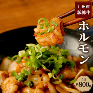 yӂ邳Ɣ[ŁzÕ䋍 z v800g 400g×2  Y BY Y Ⓚ  yVX[p[SALE 9J