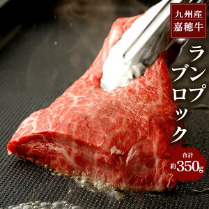 yӂ邳Ɣ[Łz10i Õ䋍 vubN 350g  Xe[L [Xgr[tp̓ Ԑg 󏭕 Y BY Y ① 