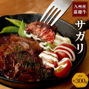 yӂ邳Ɣ[ŁzÕ䋍 TK v300g  Y BY Y ①  yVX[p[SALE 9J