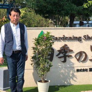 キンモクセイ 盆栽 植木の人気商品 通販 価格比較 価格 Com