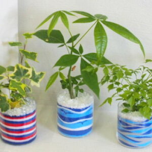 観葉植物 カラーサンドの人気商品 通販 価格比較 価格 Com