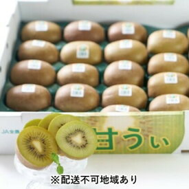 楽天市場 福岡限定の通販
