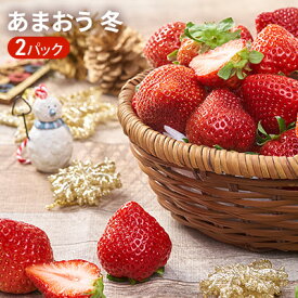 楽天市場 イチゴ 1パックの通販 楽天市場 イチゴ 1パックの通販