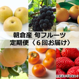 楽天市場 ふるさと納税 ぶどうの通販