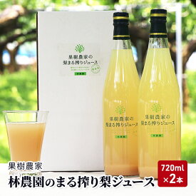 【ふるさと納税】ジュース まる搾り 梨ジュース 720ml×2本 梨 果樹農家 林農園