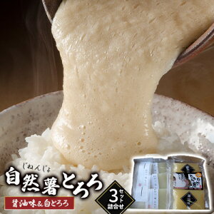 yӂ邳Ɣ[Łz R R Ƃ Hה l Zbg 2 e3 qsY R   Zbg
